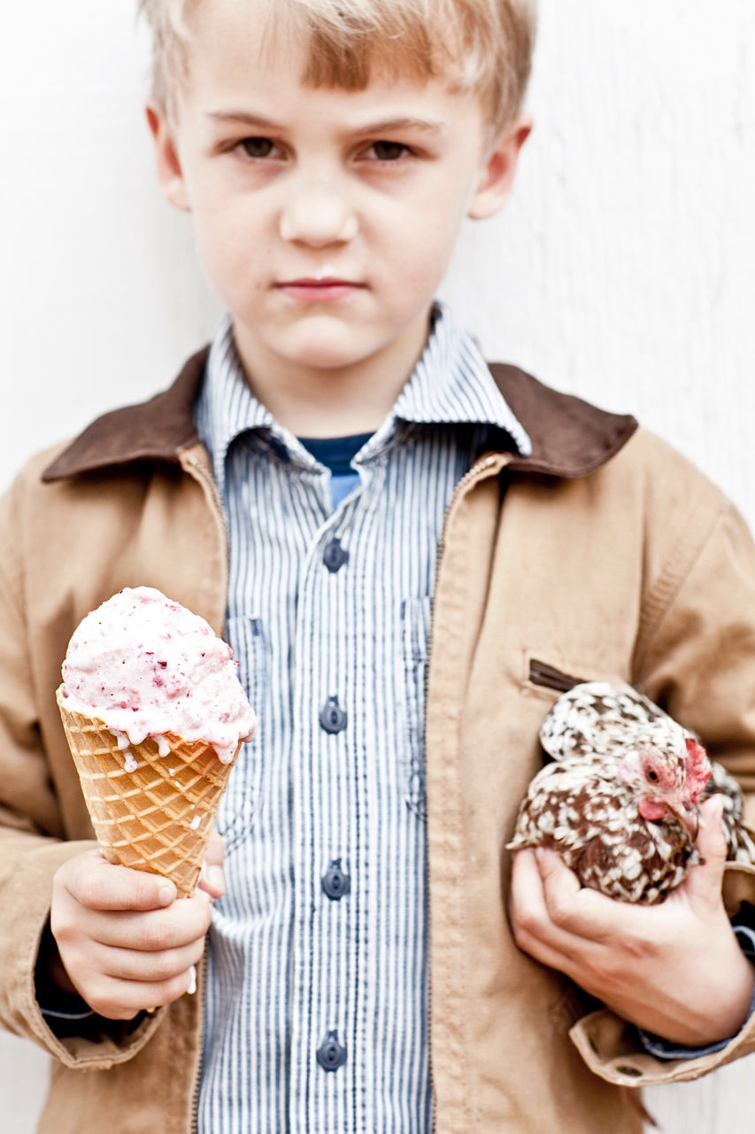 Homemade Strawberry Ice Cream